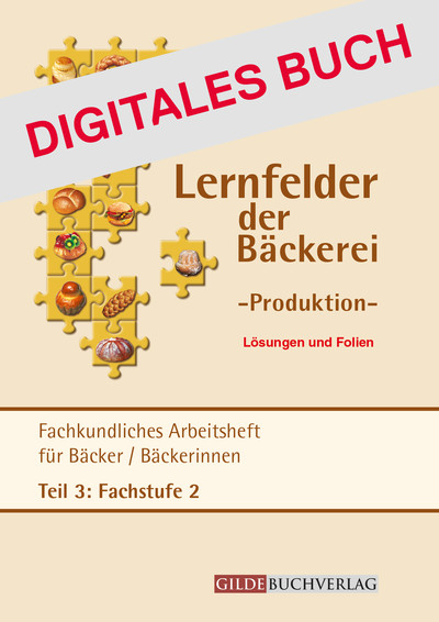 [Cover] Lösungen Lernfelder Produktion Arbeitsheft Teil 3 Fachstufe II Digitales Buch