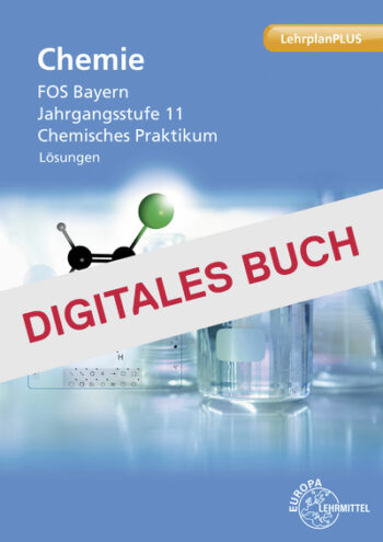 [Cover] Lösungen zu 80130 - Digitales Buch
